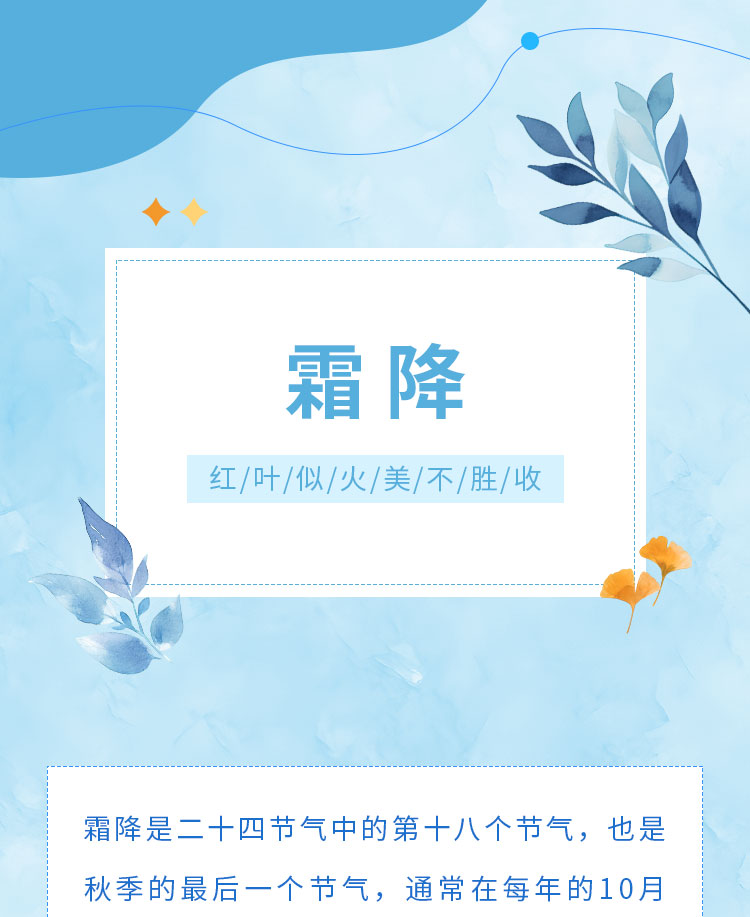 霜降公众号模板预览图