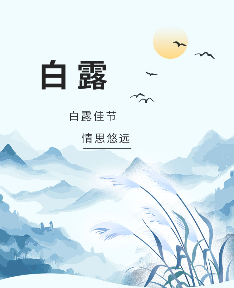 白露节气公众号模板预览图