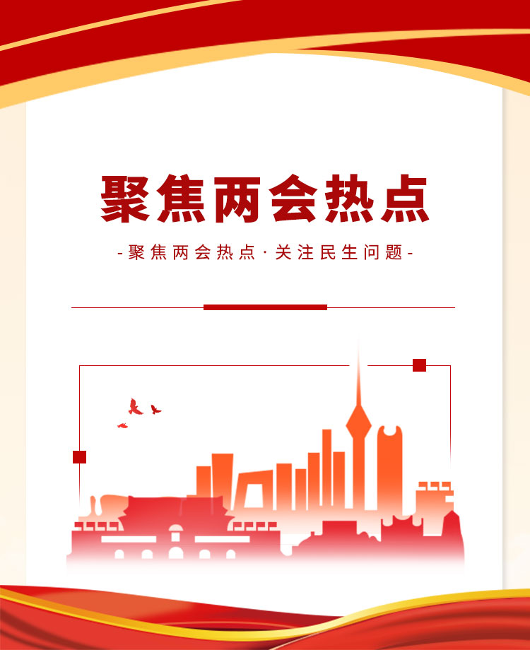 两会党政公众号模板预览图