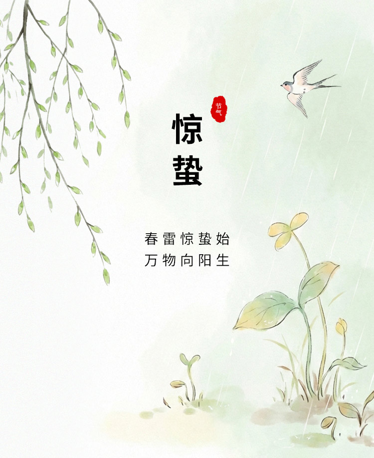 惊蛰节气公众号模板预览图