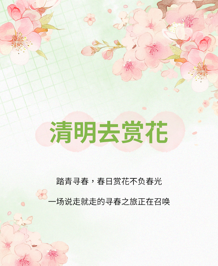 清明踏青公众号模板预览图