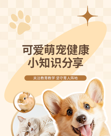 宠物知识公众号模板预览图