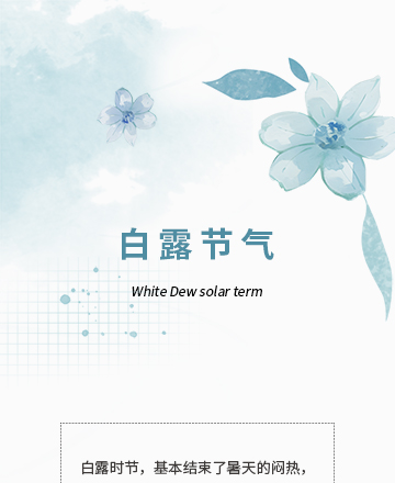 白露节气公众号模板预览图