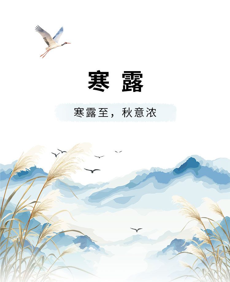 寒露节气公众号模板预览图