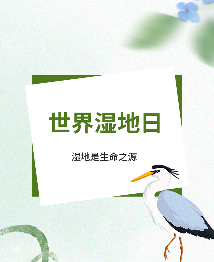 世界湿地日公众号模板预览图