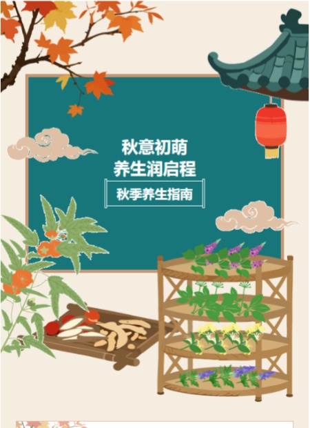 秋季养生公众号模板预览图