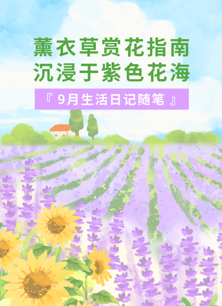 赏花公众号模板预览图