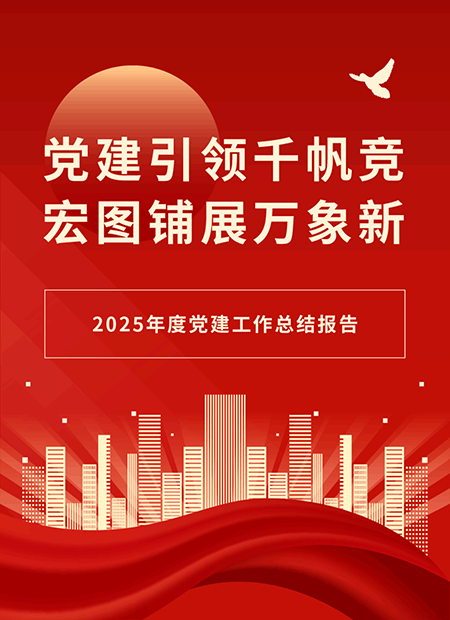 党建工作总结公众号模板预览图
