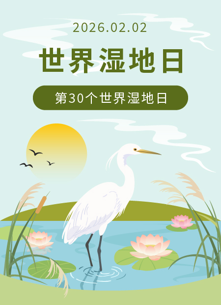 世界湿地日公众号模板预览图