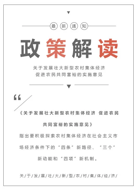 政策解读公众号模板预览图