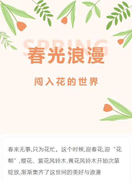 春日浪漫公众号模板预览图