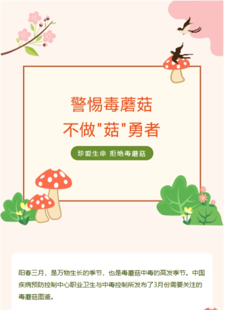 食品安全公众号模板预览图