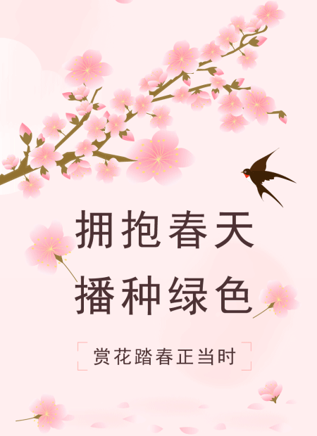 赏花踏青公众号模板预览图
