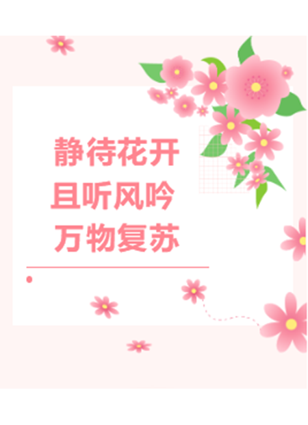 春日公众号模板预览图