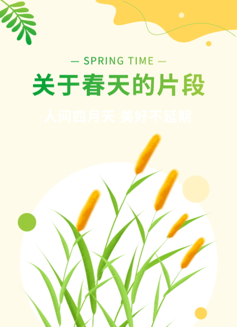 春日公众号模板预览图