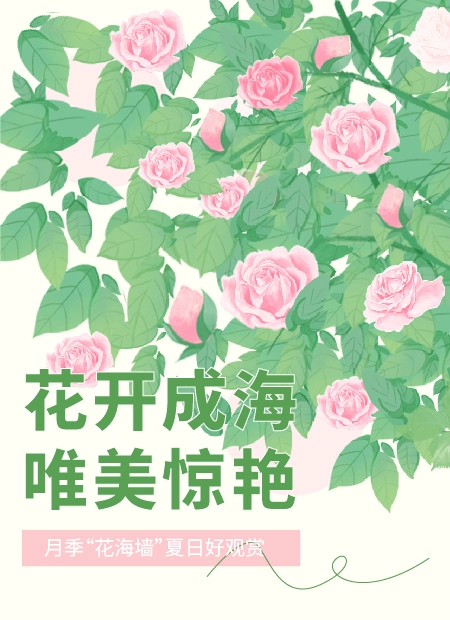 月季花海公众号模板预览图