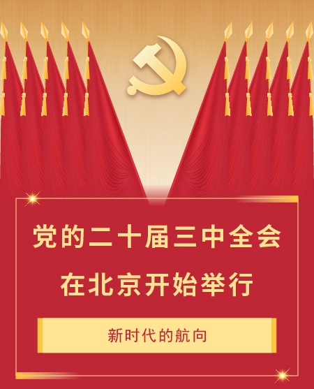 二十届三中全会公众号模板预览图