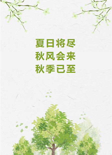 夏末公众号模板预览图