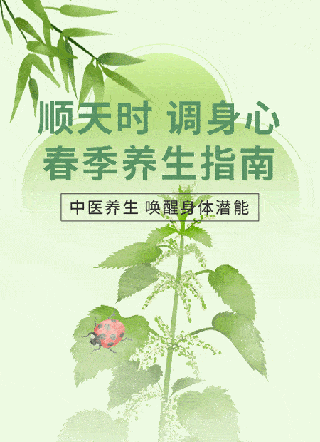 中医养生公众号模板预览图